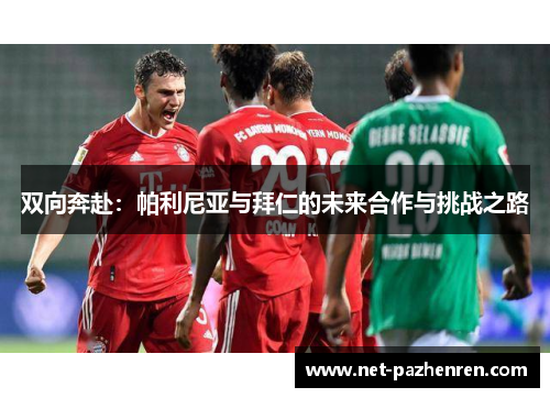 双向奔赴：帕利尼亚与拜仁的未来合作与挑战之路