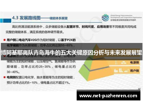 博阿基耶离队青岛海牛的五大关键原因分析与未来发展展望