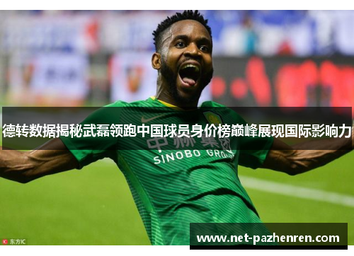 德转数据揭秘武磊领跑中国球员身价榜巅峰展现国际影响力
