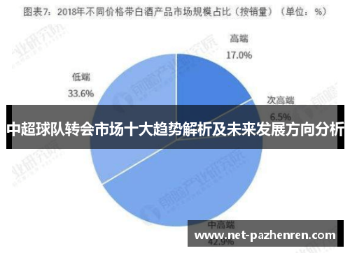 中超球队转会市场十大趋势解析及未来发展方向分析