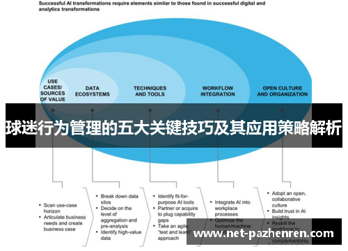 球迷行为管理的五大关键技巧及其应用策略解析