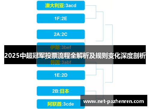 2025中超冠军投票流程全解析及规则变化深度剖析