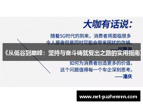 《从低谷到巅峰：坚持与奋斗铸就复出之路的实用指南》