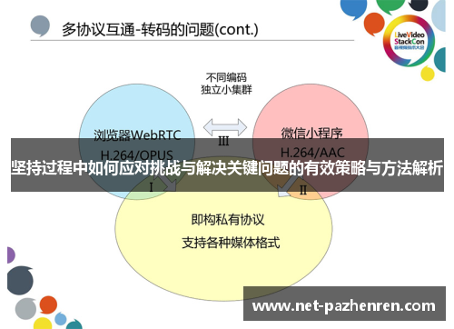 坚持过程中如何应对挑战与解决关键问题的有效策略与方法解析