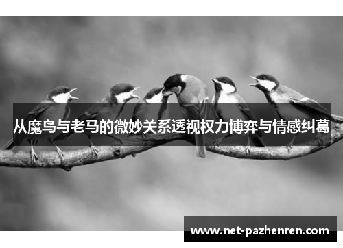 从魔鸟与老马的微妙关系透视权力博弈与情感纠葛