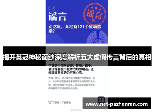 揭开英冠神秘面纱深度解析五大虚假传言背后的真相 揭开英冠神秘面纱深度解析五大虚假传言背后的真相