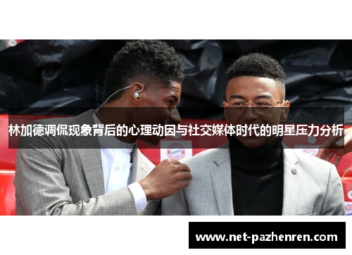 林加德调侃现象背后的心理动因与社交媒体时代的明星压力分析